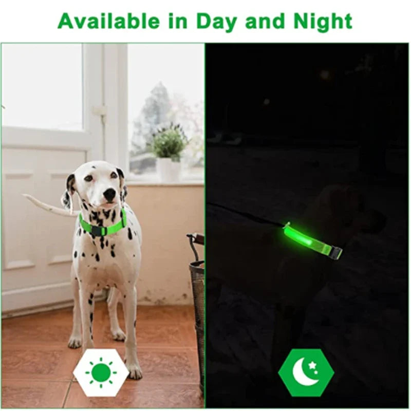 Enköping - LED-blinkande hundhalsband