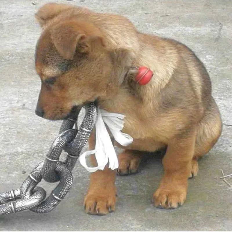 Viktor - Överdimensionerat fejkat kedjekoppel för hundar