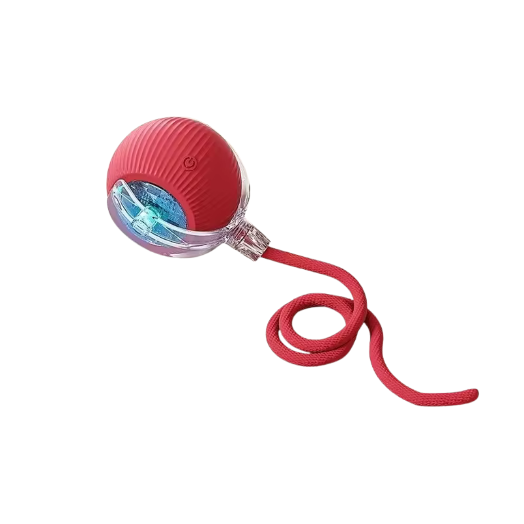 Rollo - Interaktiv uppladdningsbar Kattleksak