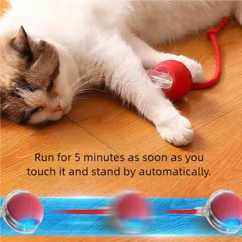 Rollo - Interaktiv uppladdningsbar Kattleksak