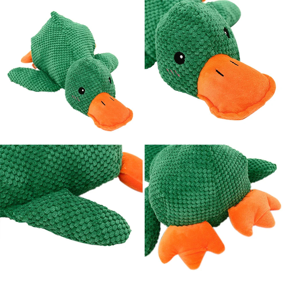 Motala - Ank-leksak för hundar