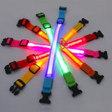 Enköping - LED-blinkande hundhalsband