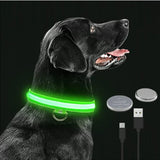 Enköping - LED-blinkande hundhalsband
