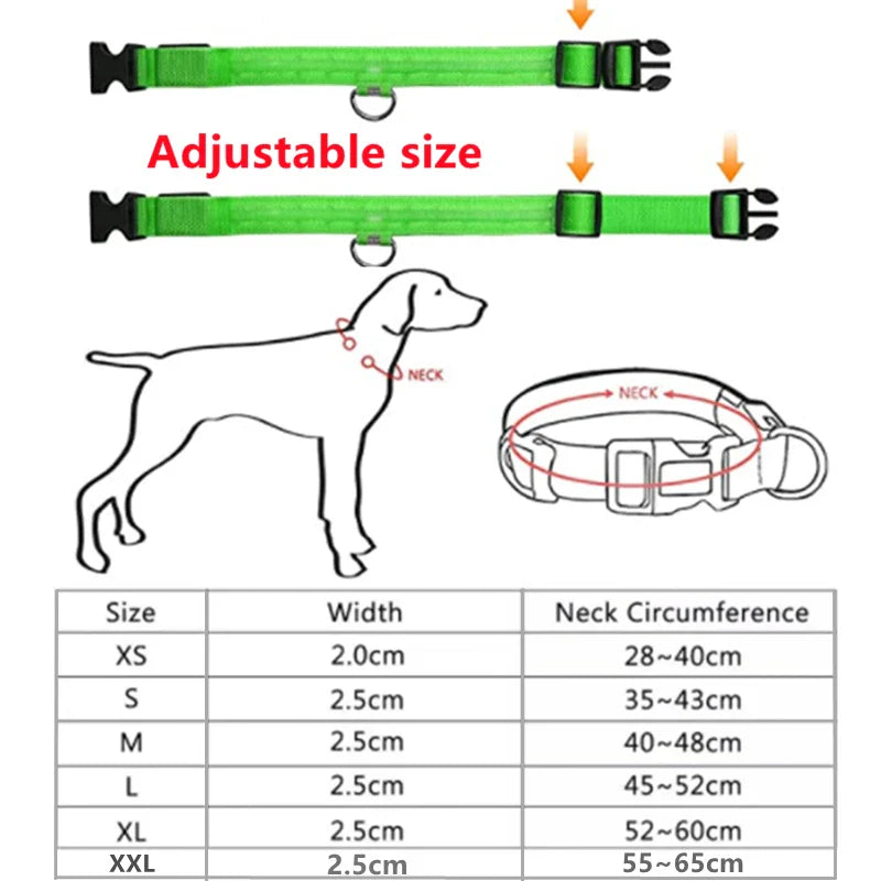 Enköping - LED-blinkande hundhalsband