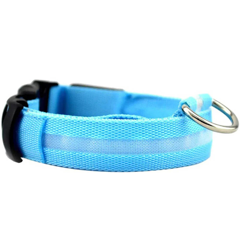 Enköping - LED-blinkande hundhalsband